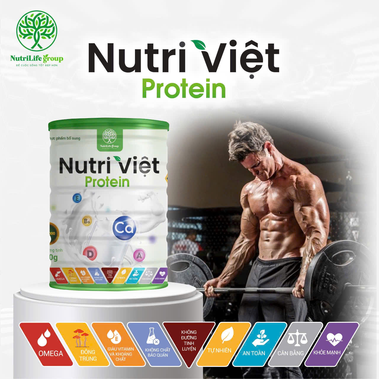 Protein cho nhịp vận động bền bỉ