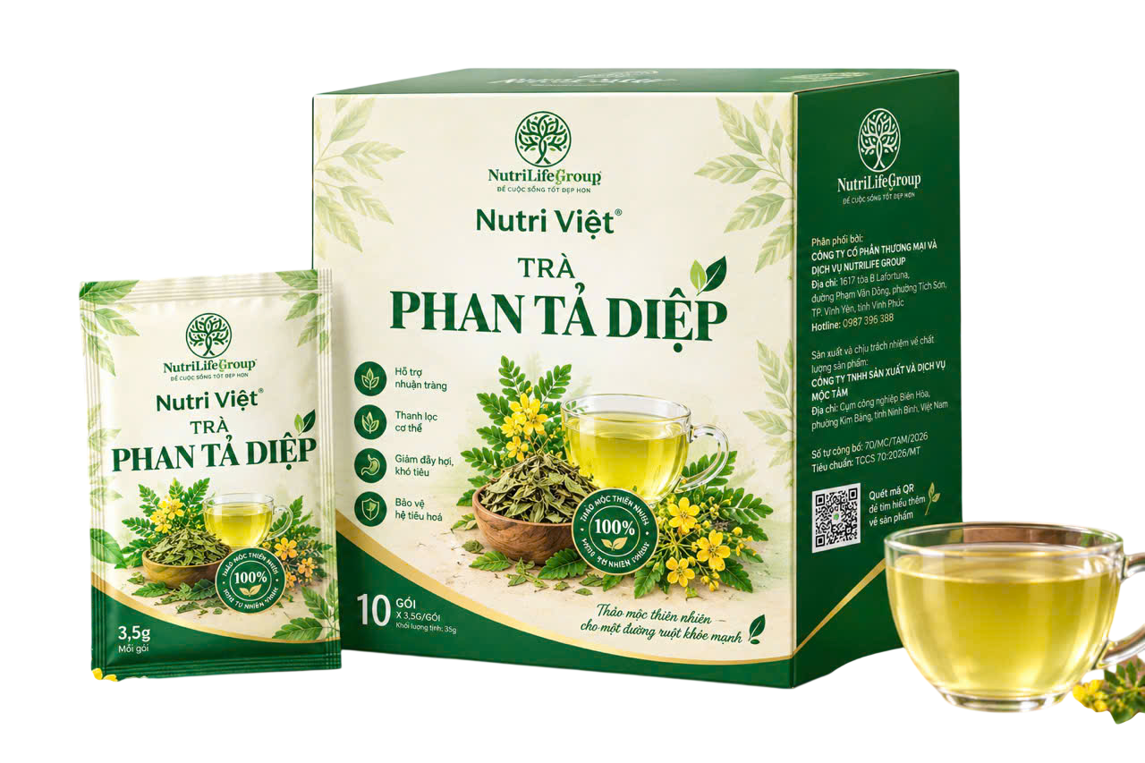 TRÀ PHAN TẢ DIỆP